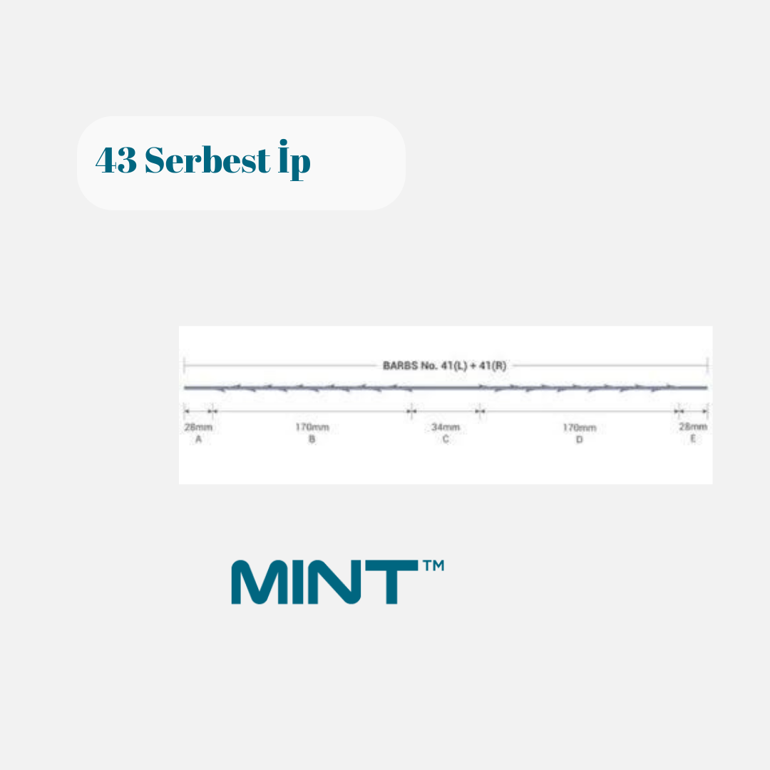 Mint 43 (Serbest İp)